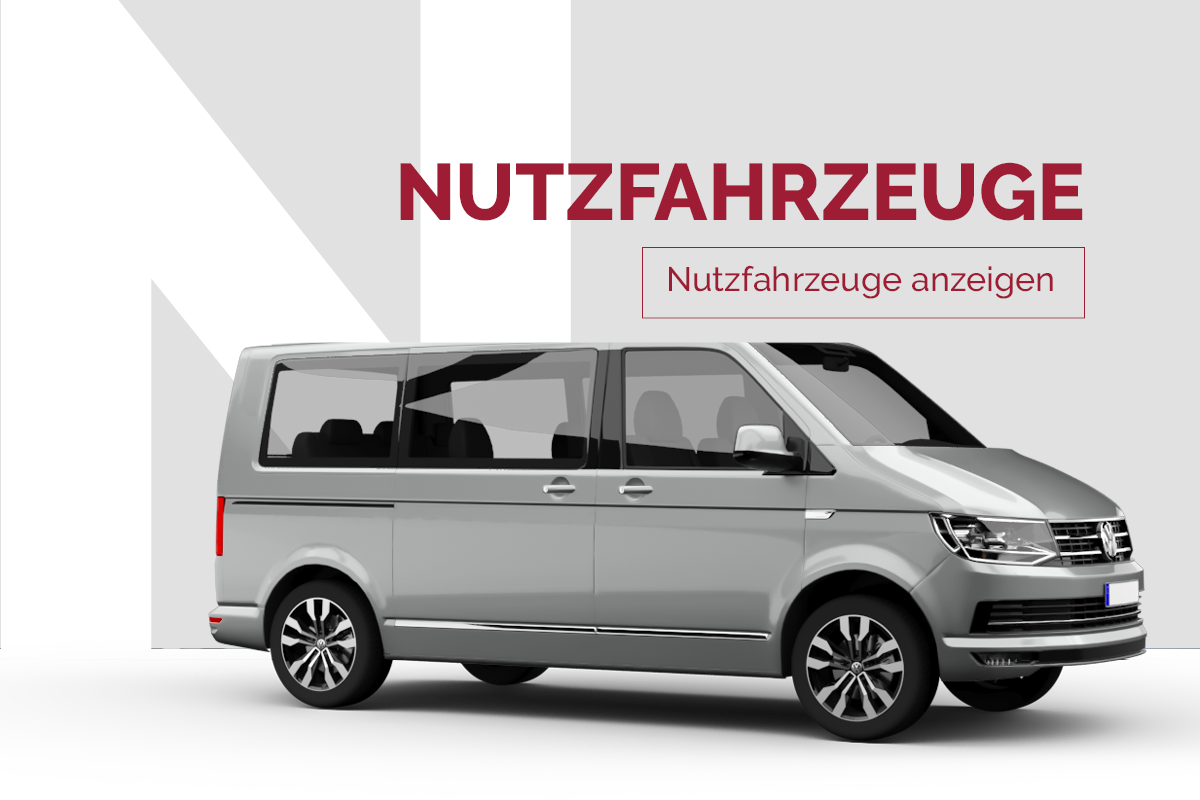 Beispielfahrzeug Nutzfahrzeuge Angebote